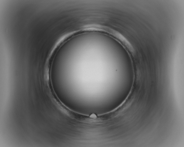 X0000115281376200911061319