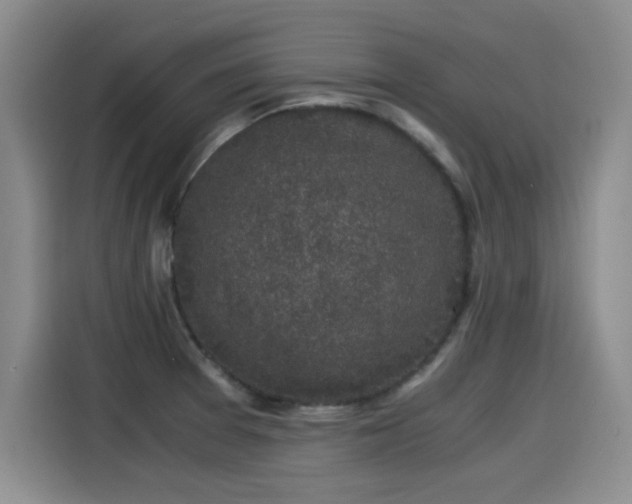 X0000115281377200911061319