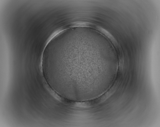 X0000115281378200911061319