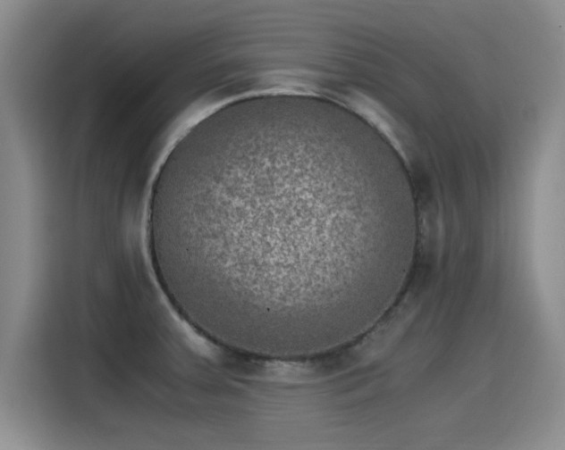 X0000115281379200911061319