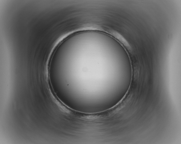 X0000115281380200911061319