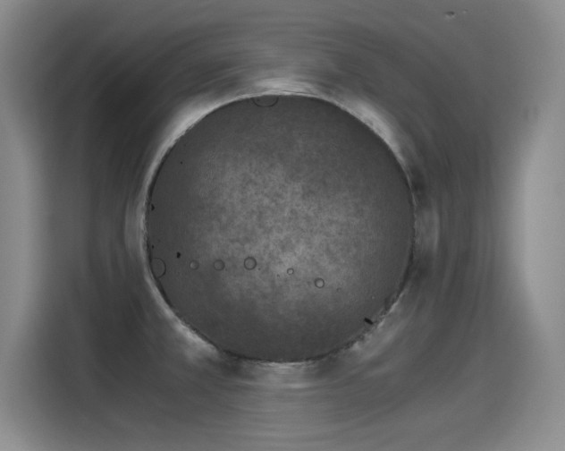 X0000115281381200911061319