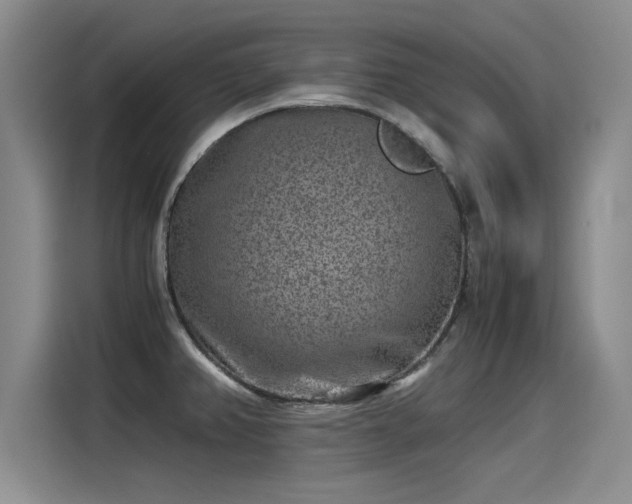 X0000115281382200911061319