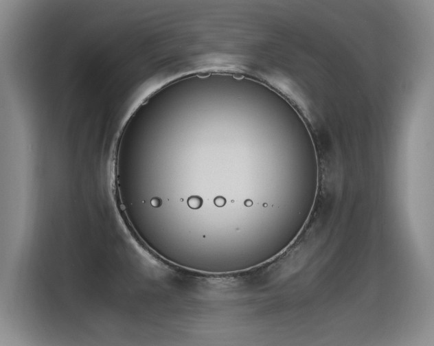 X0000115281383200911061319