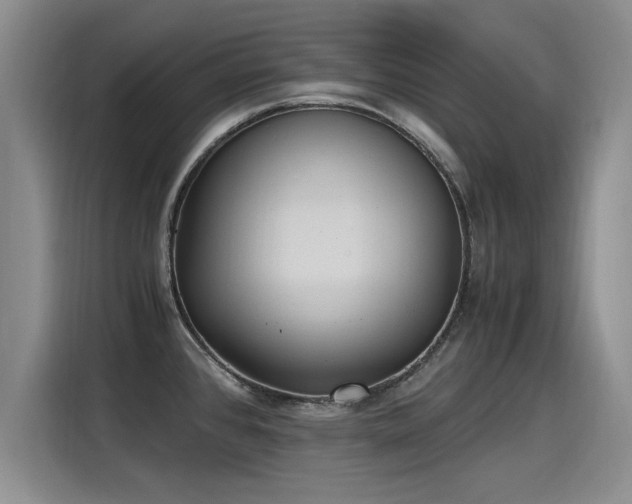 X0000115281384200911061319
