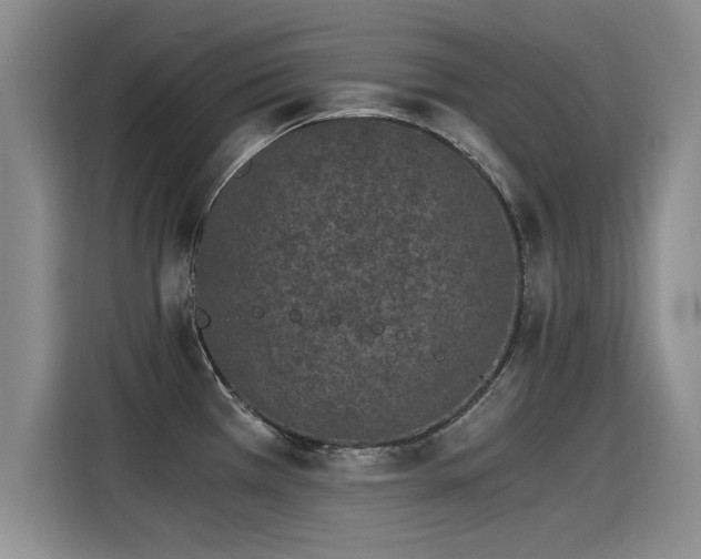 X0000115281385200911061319