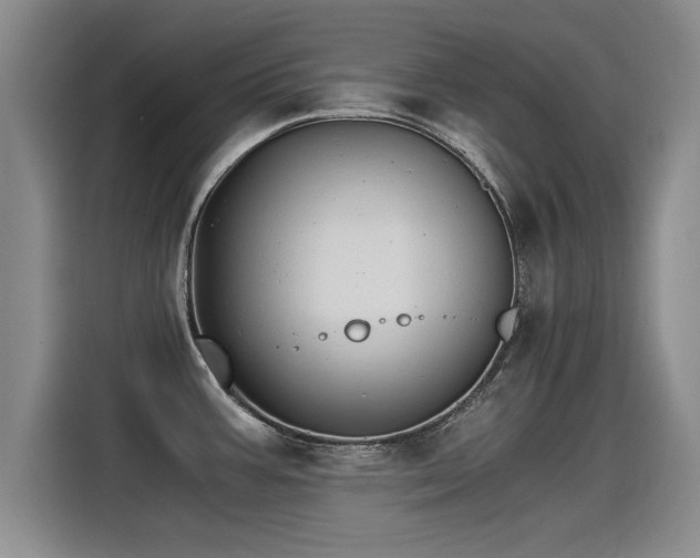X0000115281387200911061319