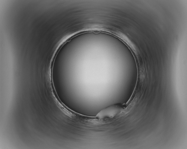 X0000115281388200911061319