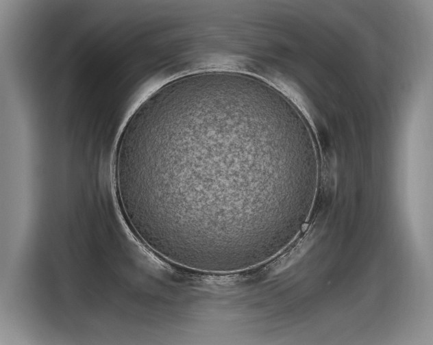 X0000115281389200911061319