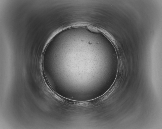 X0000115281390200911061319