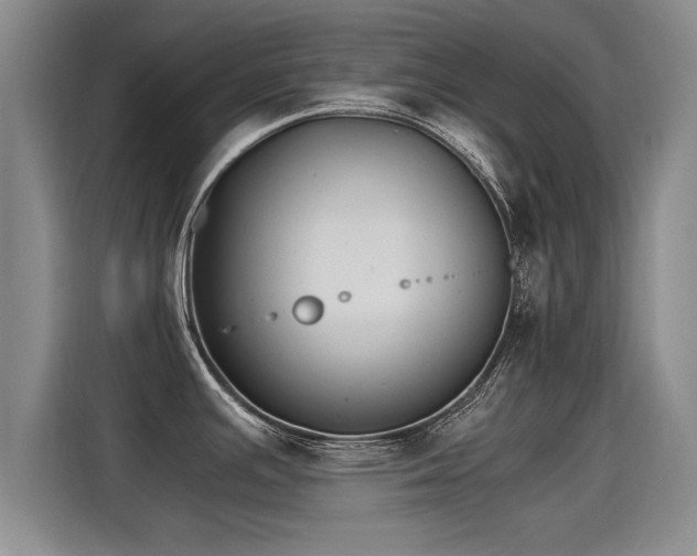 X0000115281391200911061319