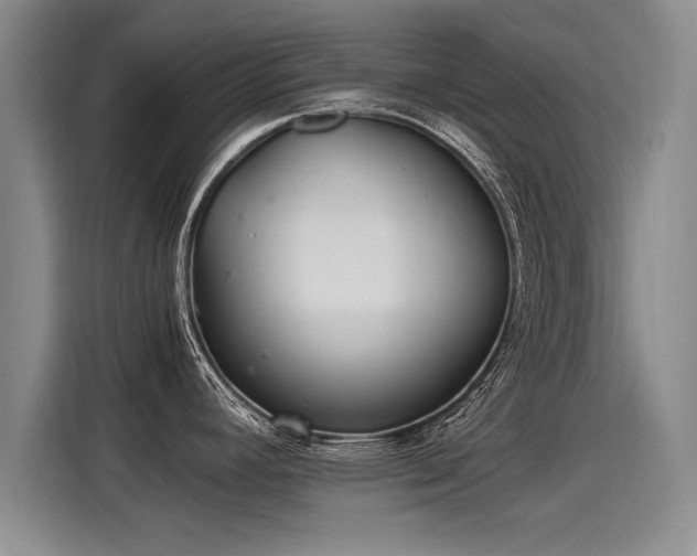X0000115281392200911061319