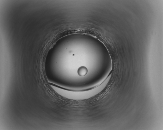 X0000115281393200911061318