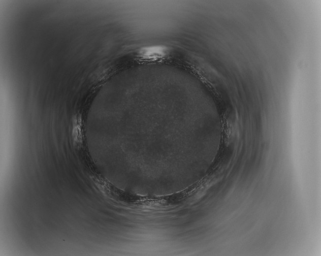 X0000115281394200911061318
