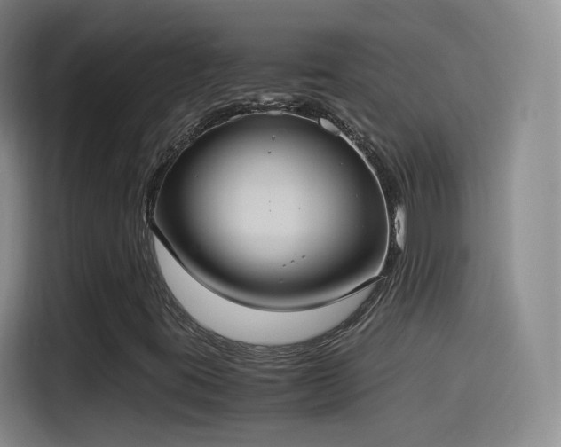 X0000115281395200911061318