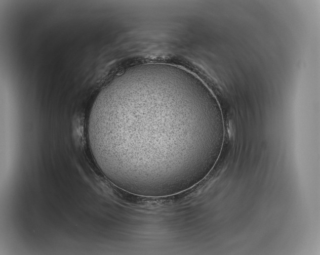 X0000115281396200911061318