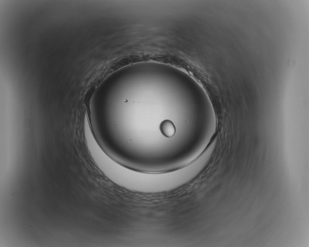 X0000115281397200911061318