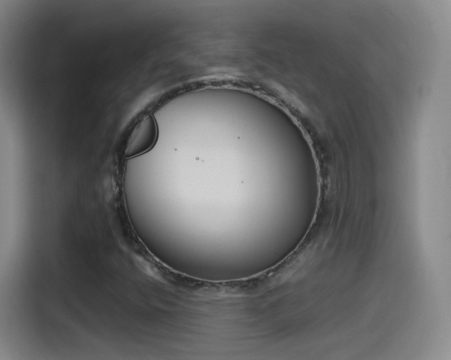 X0000115281400200911061318