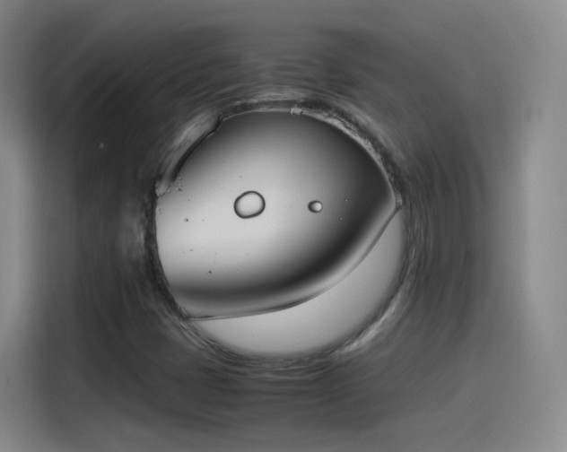 X0000115281401200911061318