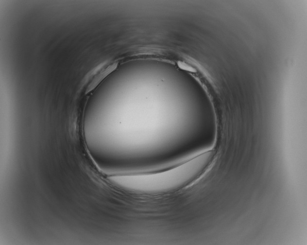 X0000115281403200911061318