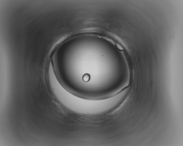 X0000115281405200911061318