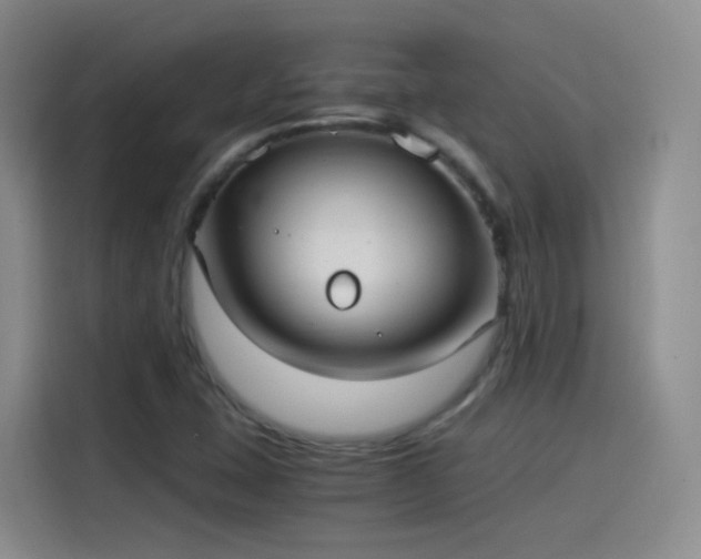 X0000115281407200911061318