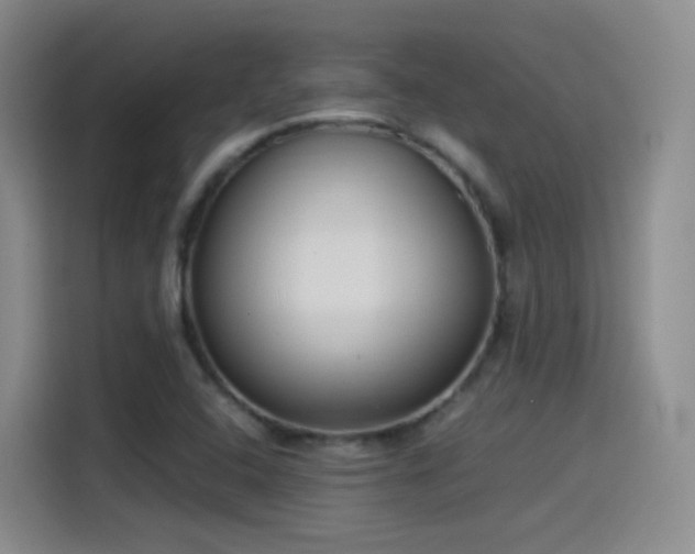 X0000115281408200911061318
