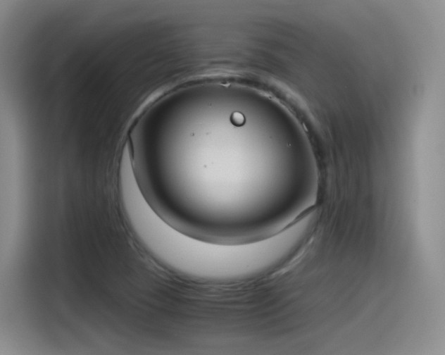 X0000115281409200911061318