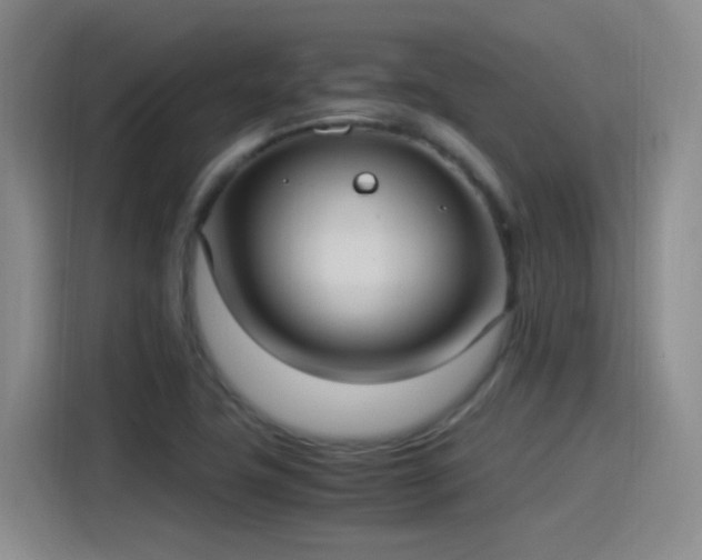 X0000115281411200911061318