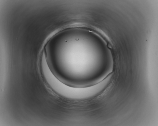 X0000115281413200911061319