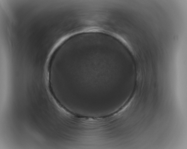 X0000115281414200911061319