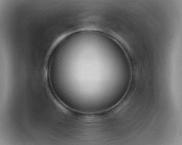 X0000115281416200911061319