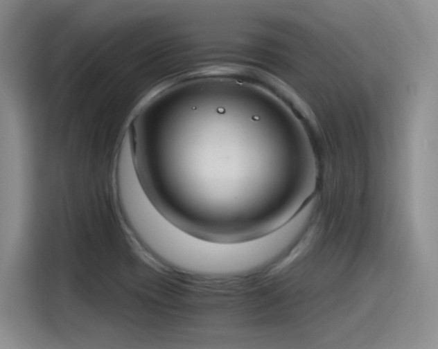 X0000115281417200911061319