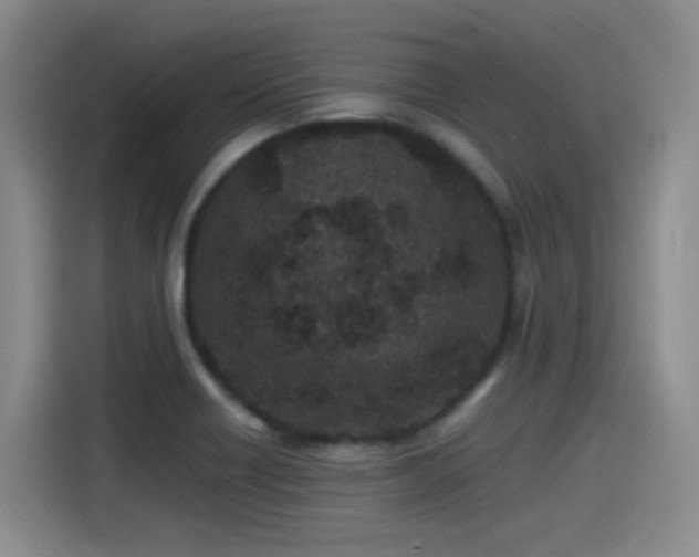 X0000115281418200911061319