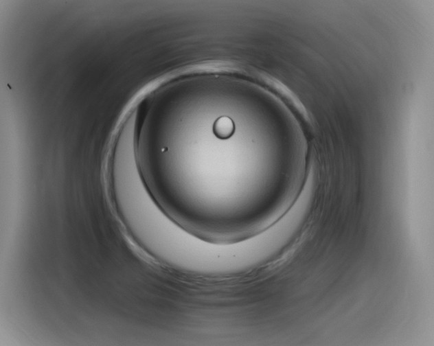 X0000115281421200911061319