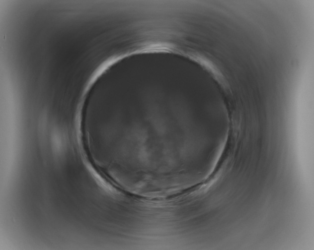X0000115281422200911061319