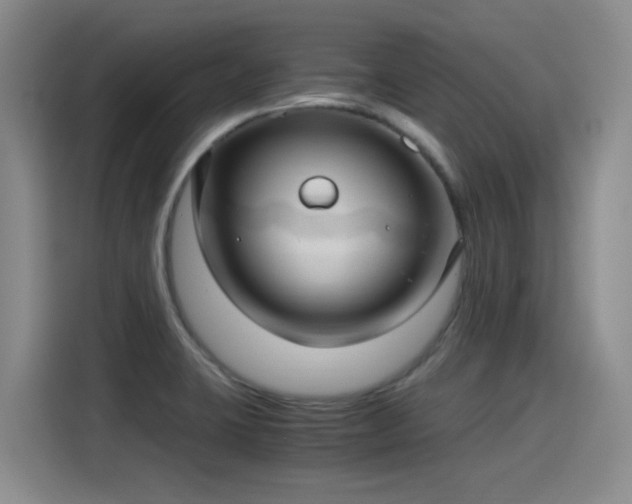 X0000115281423200911061319