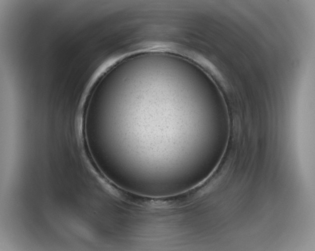 X0000115281424200911061319