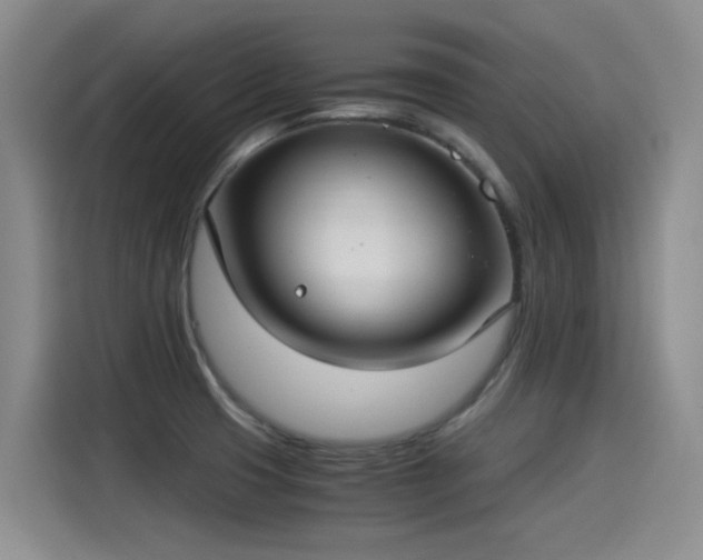 X0000115281425200911061319