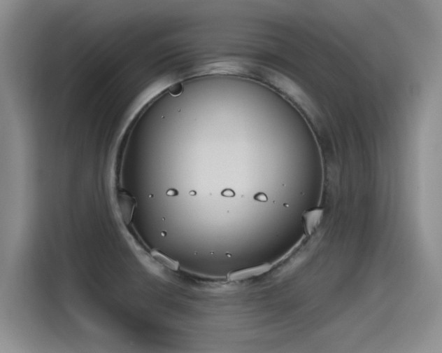 X0000115281426200911061319