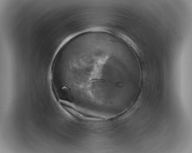 X0000115281428200911061319