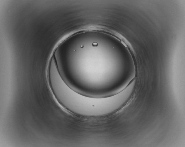 X0000115281429200911061319