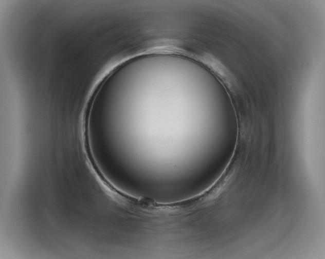 X0000115281430200911061319