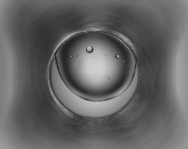 X0000115281431200911061319