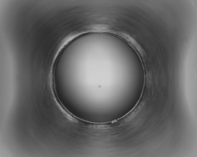 X0000115281432200911061319