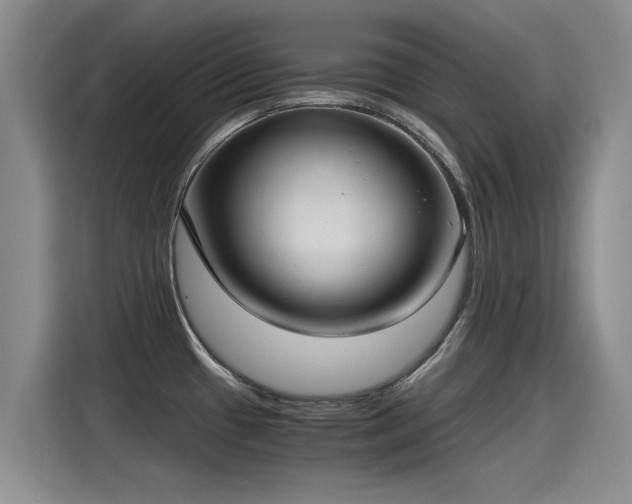 X0000115281433200911061319