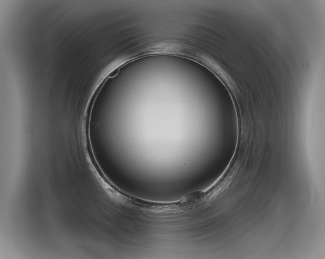 X0000115281434200911061319
