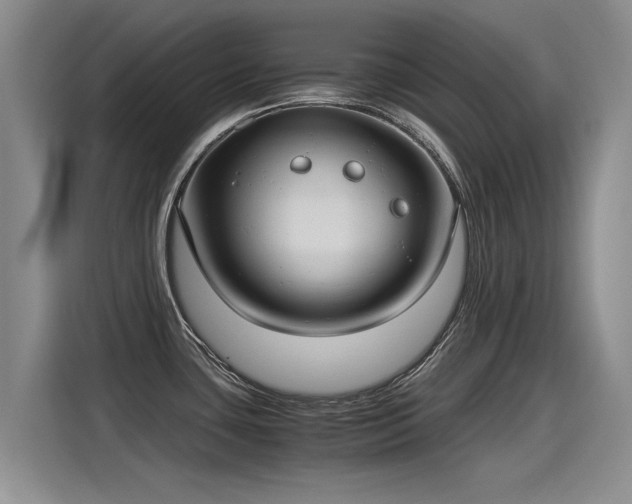 X0000115281435200911061319
