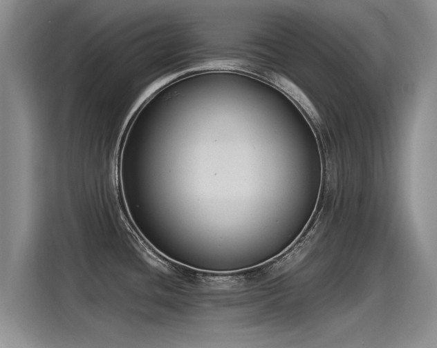 X0000115281436200911061319