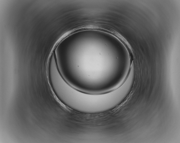 X0000115281437200911061319